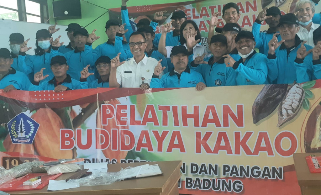 MELALUI KERJASAMA DENGAN BPTP BALI DAN PUSLIT KOKA JEMBER SERTA MENGGELAR PELATIHAN BUDIDAYA KAKAO, DINAS PERTANAIN DAN PANGAN KAB. BADUNG AKAN KEMBALIKAN KEJAYAAN KAKAO DI BADUNG
